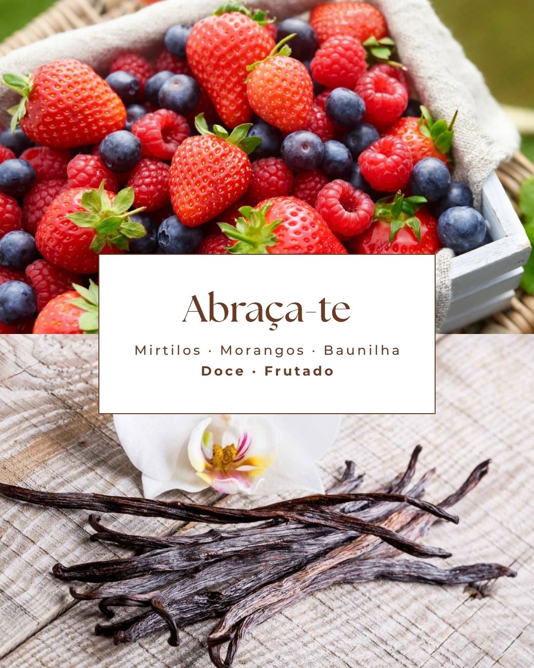 Vela ABRAÇA-TE